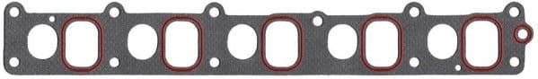 Gasket, intake manifold 690.070