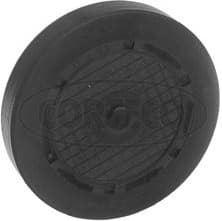 Plug, mounting bore 21653092