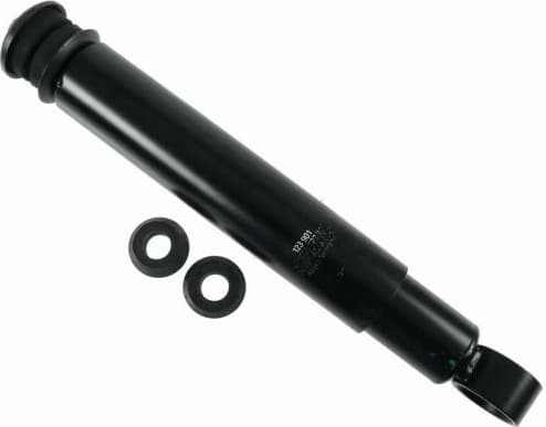 Shock Absorber 123 901