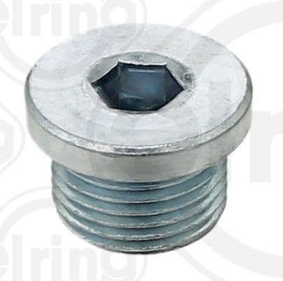 Screw Plug, axle drive 587.140