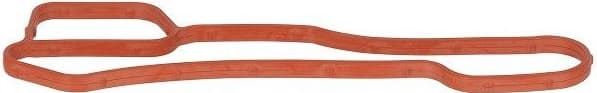 Gasket, coolant flange 520.820