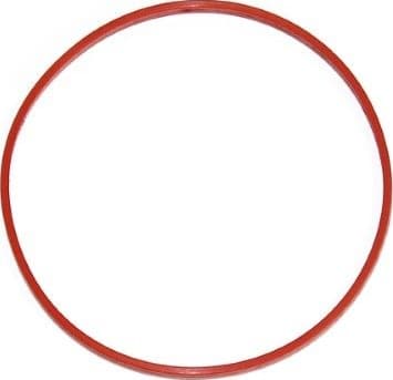 Gasket, intake manifold housing 243.500