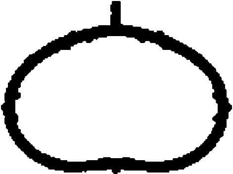 Gasket, intake manifold 450060H