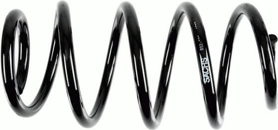 Suspension Spring 993 121