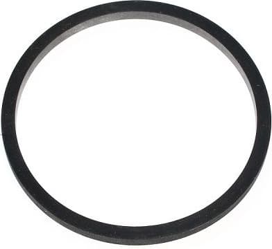 Seal Ring 366.310