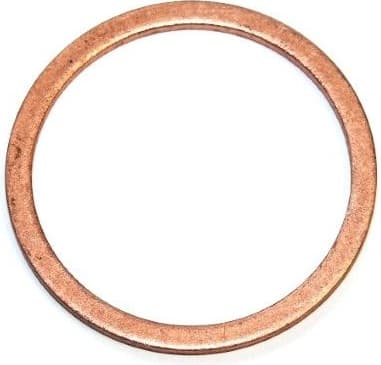 Seal Ring 138.908