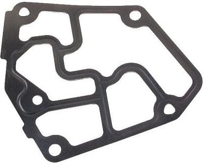 Gasket oil filter flange housing 530.841