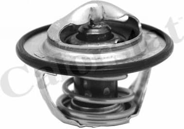 Thermostat, coolant TH7130.82J