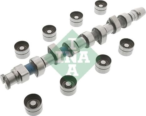 Camshaft Kit 428004830