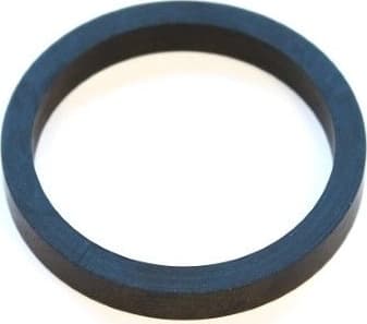Gasket, timing case 380.760
