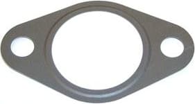 Gasket, EGR valve 489.990