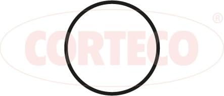 Gasket, intake manifold 450356P