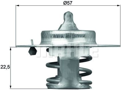 Thermostat, coolant BEHR TX6083D