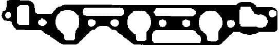 Gasket, intake manifold 450509P
