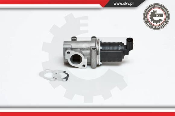 EGR Valve 14SKV006