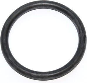 Seal Ring 599.531