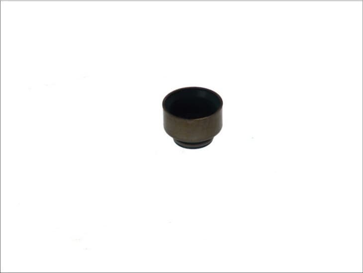 Seal valve stem 590.630
