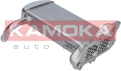 Cooler, exhaust gas recirculation 19C069