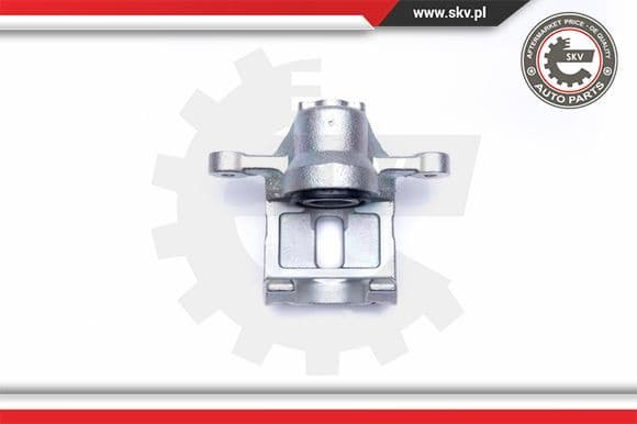 Brake Caliper 45SKV194