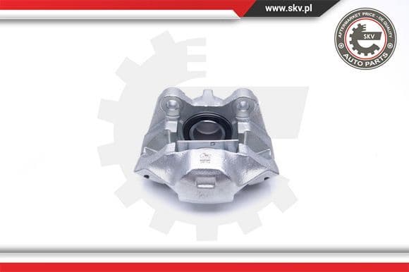 Brake Caliper 45SKV061