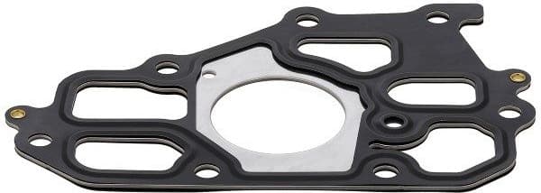 Gasket, coolant flange 579.660