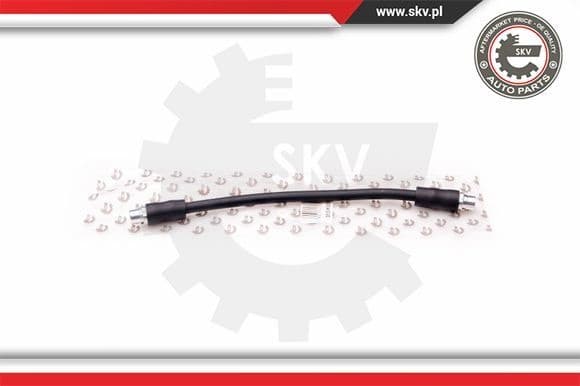 Brake Hose 35SKV001
