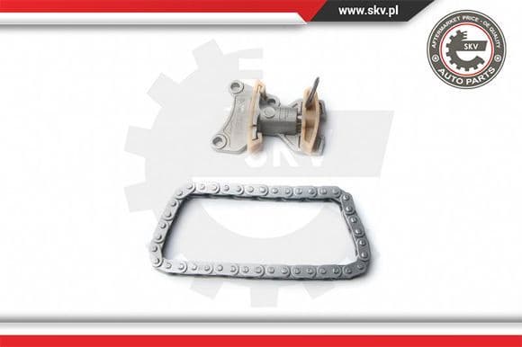 Timing Chain Kit 21SKV020