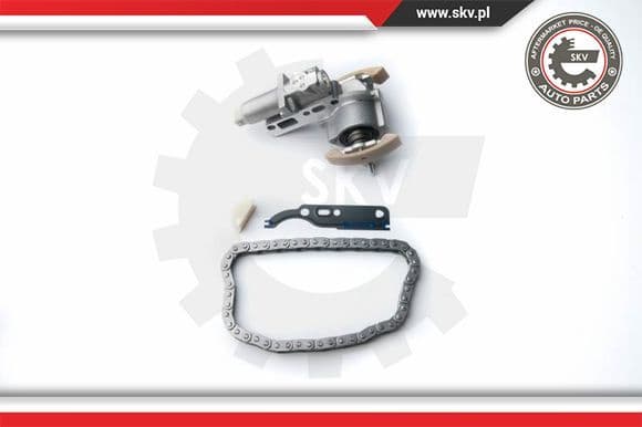 Timing Chain Kit 21SKV030