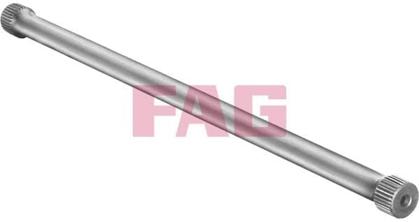 Suspension Spring 812000310