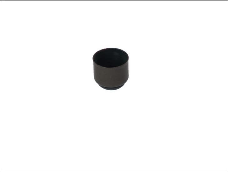 Seal valve stem 702.951
