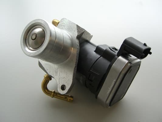 EGR valve 7375D (BorgWarner (Wahler))