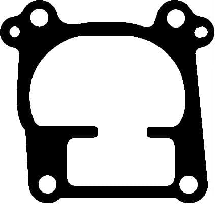 Gasket EGR valve 743.970