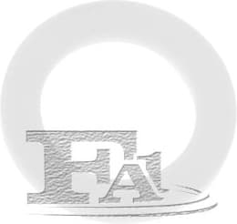 Seal Ring 241.250.100