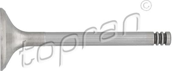 Intake Valve 700 659