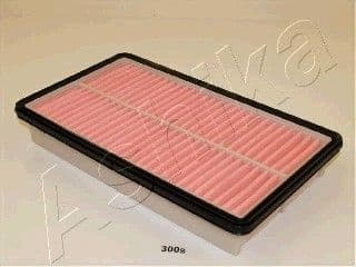 Air Filter 20-03-300
