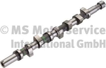 Camshaft 50006332