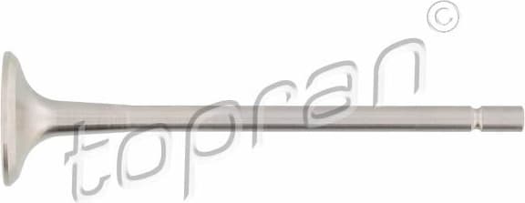 Exhaust Valve 700 654