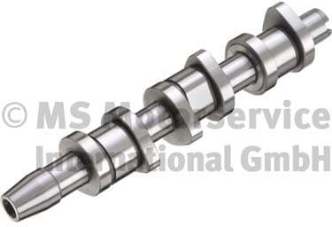 Camshaft 50006388