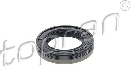 Shaft Seal, camshaft 109 991