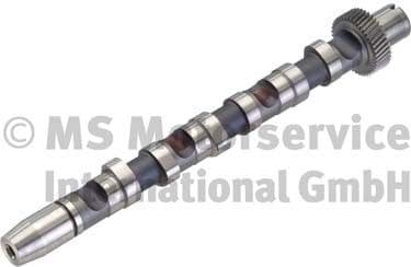Camshaft 50006300
