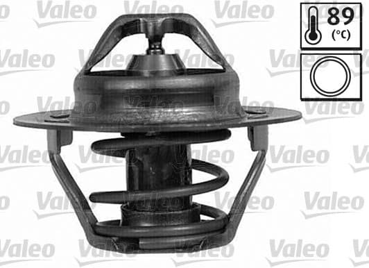 Thermostat, coolant 820025