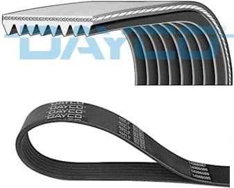 V-ribbed Belt 8PK2055HD