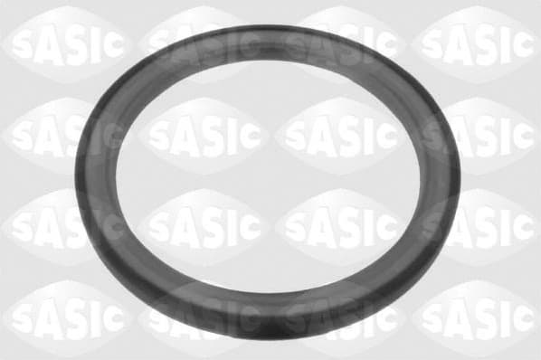 Shaft Seal, crankshaft 1954001