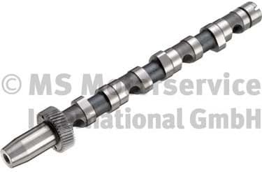 Camshaft 50006301