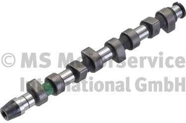 Camshaft 50006203