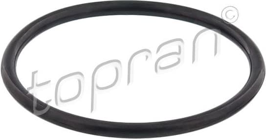 Seal, thermostat 117 329