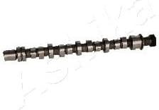 Camshaft 16SZ002