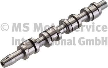 Camshaft 50007576