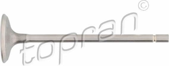 Intake Valve 700 653