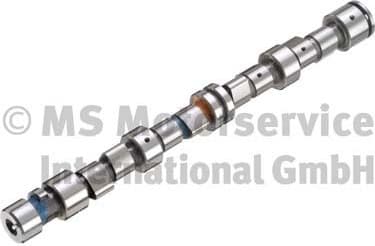 Camshaft 50006256